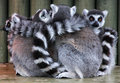 Group Hug