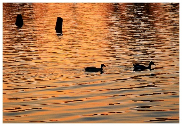 Two to Tango