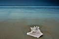 Ocean Tides