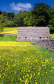 Hay Meadows in Swaledale