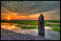 Marsh Sunset