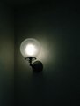 Pearl in the Corner