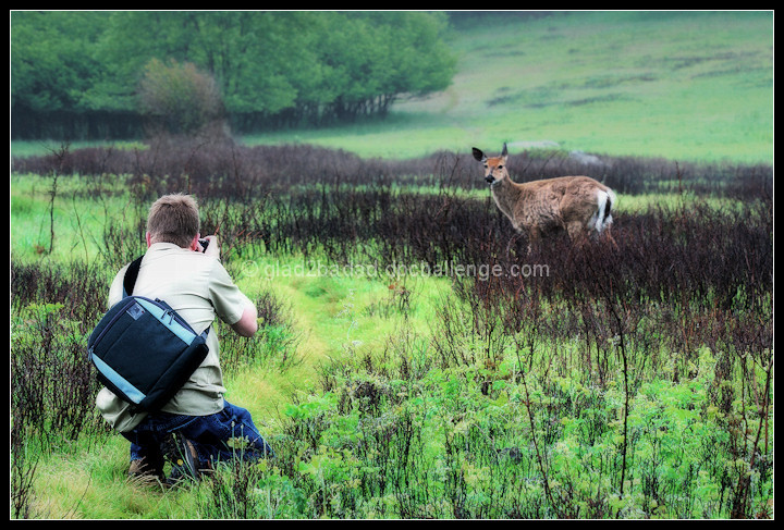 Wildlife Photographer