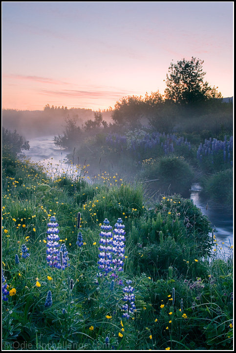 A mystic morning