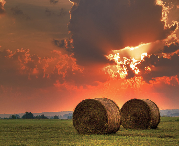 Morning in the Heartland