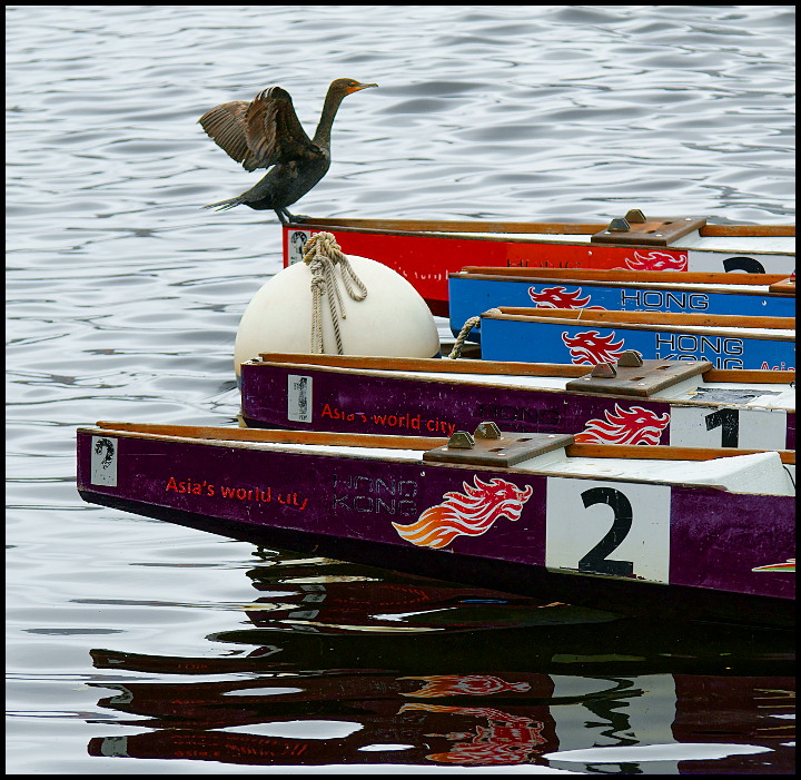 Why Row When You Can Fly?