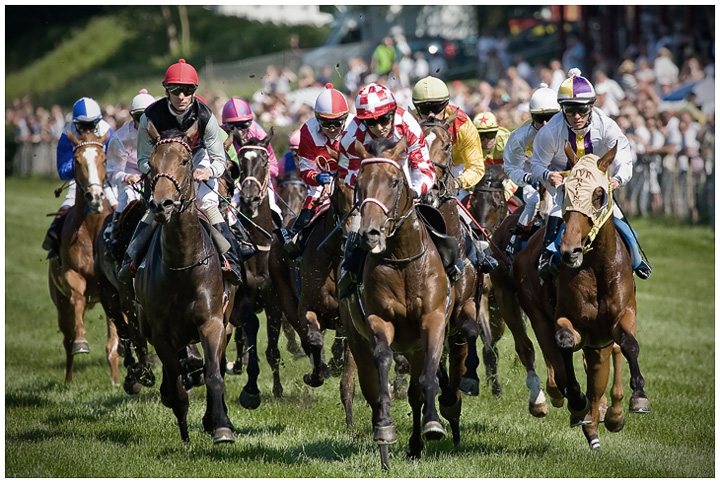 A day at the races