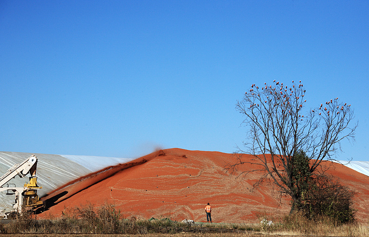 Grain Storage