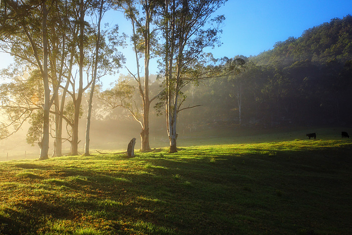 another day begins on the farm