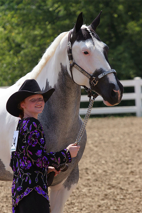 Pride - Grand Champion Halter Horse