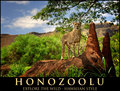Honolulu Zoo