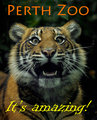 Perth Zoo