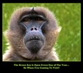 Bronx Zoo