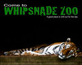 Whipsnade Animal Park