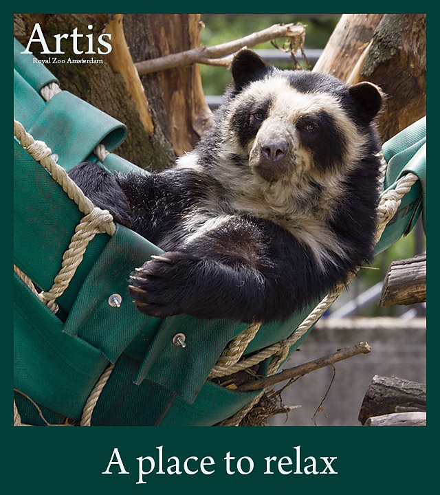 A place to relax