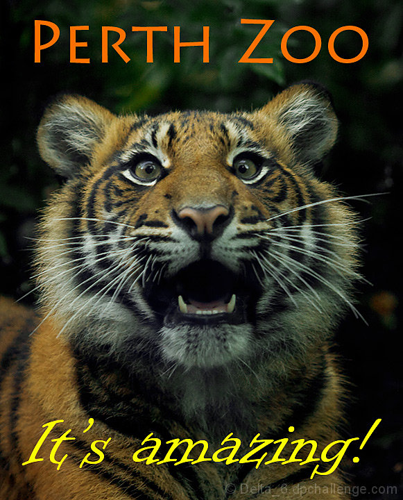 Perth Zoo