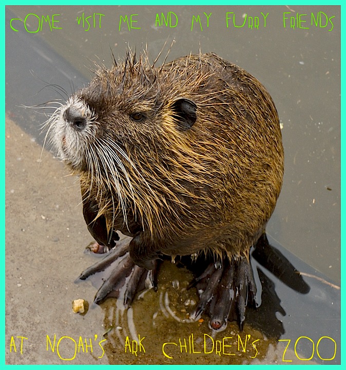 Noah's Ark Children's Zoo