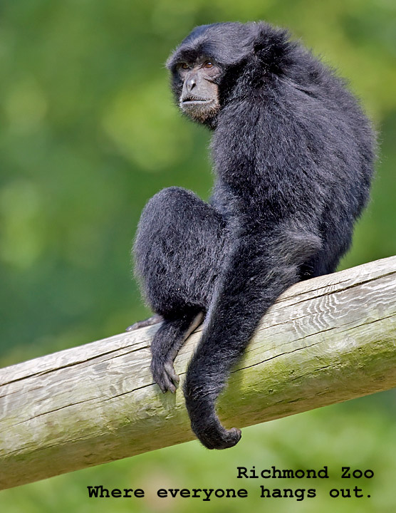 Hanging Out