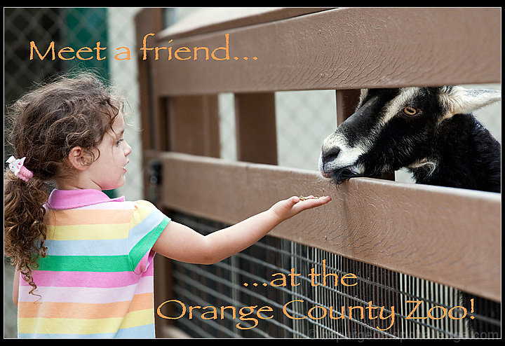 Make a Friend Today!