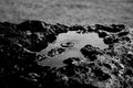 Puddle on a Rollright Stone