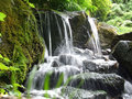 Creek Waterfall