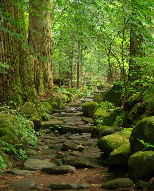 Ancient Road