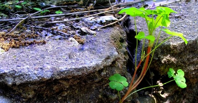 Broken Concrete (Made from Stone)