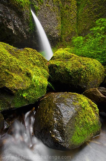 Pour Those Rocks a Drink, Will Ya?