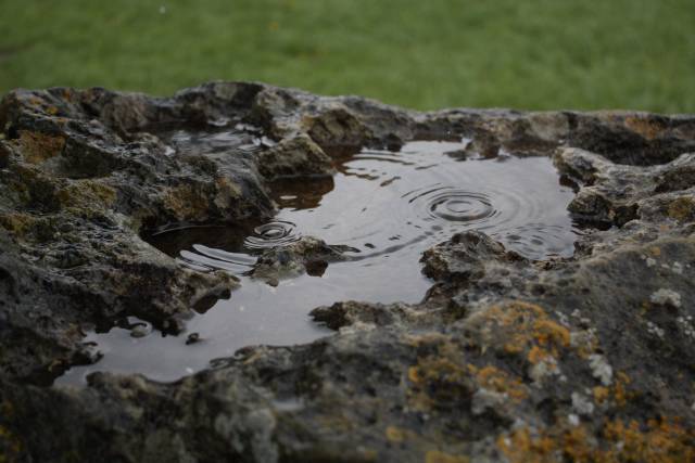 Raindrops