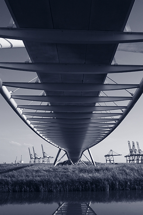 Under the bridge