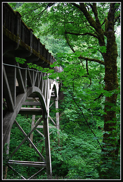 Nature Building Character on Old Construction