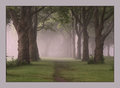 Path to Peace