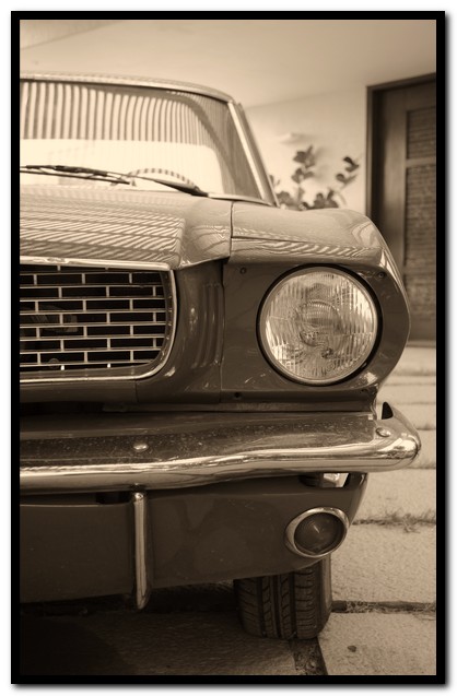 Mustang - A Fine Cut!!