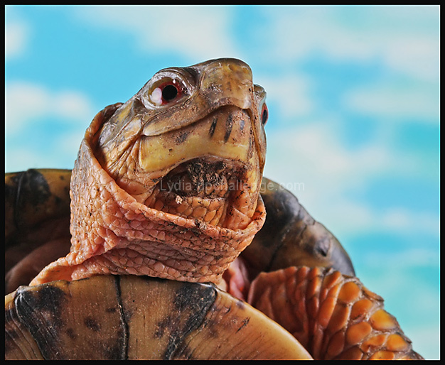 Warm Breeze, Blue Skies, and a Smile on My Face.