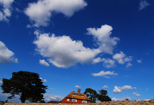  The blue sky above