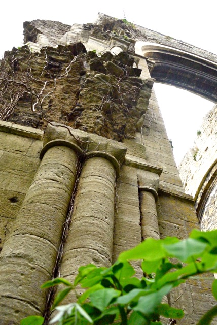 Abbey Ruins