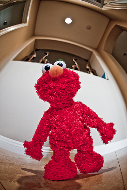 Elmo