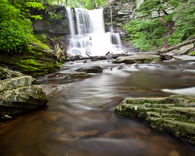 Rickett's Glen