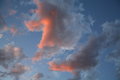 what do YOU see ?