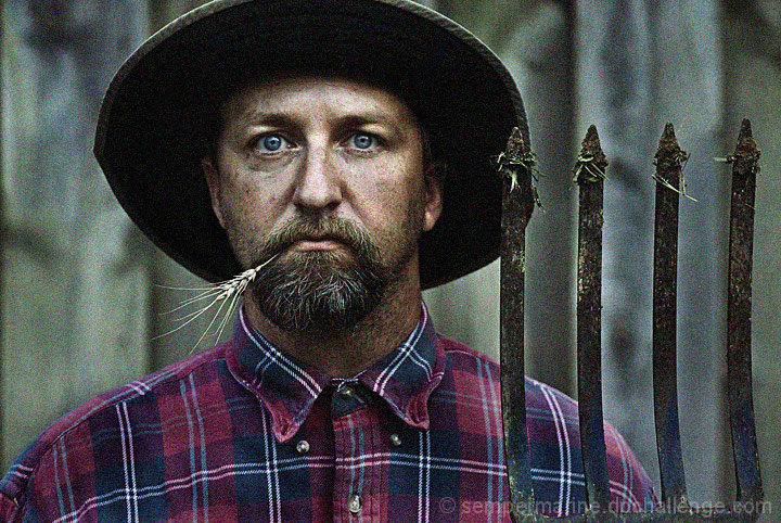 The Grain Farmer