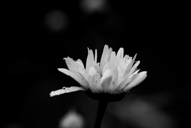 Droplets