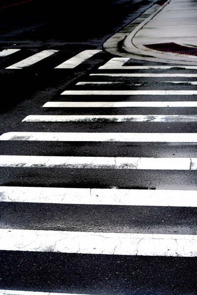 zebra xing