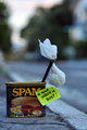 To Your Inbox or Bust!