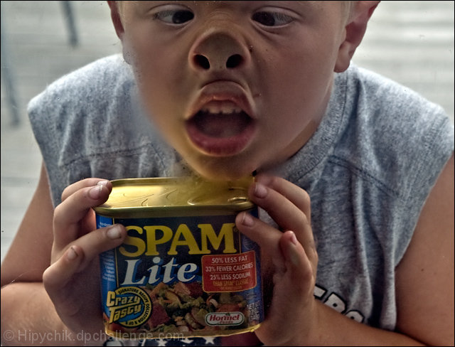 Spam...A Pork Product