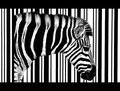 Black or White