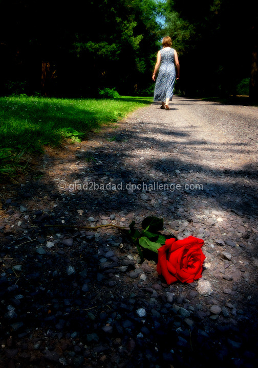 Don't Walk Away