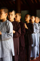 The Young Monk