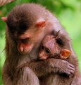 Hold me mamma, Its raining...!