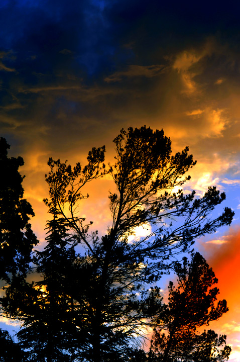 Marin County Sunrise