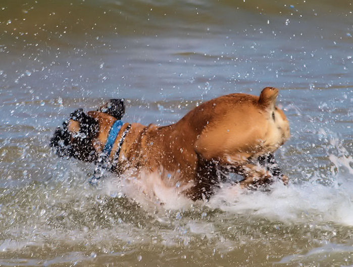 Water, Camera, Action